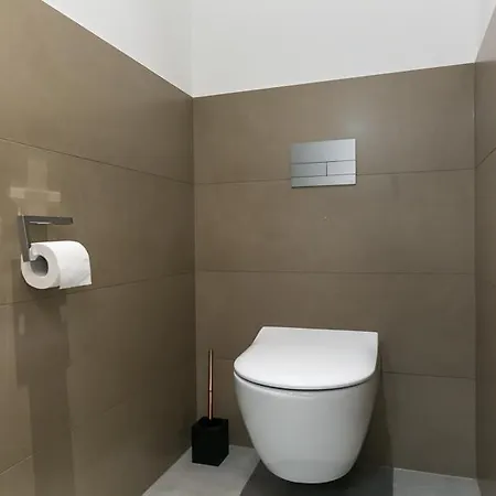 格拉茨公园套房公寓 *