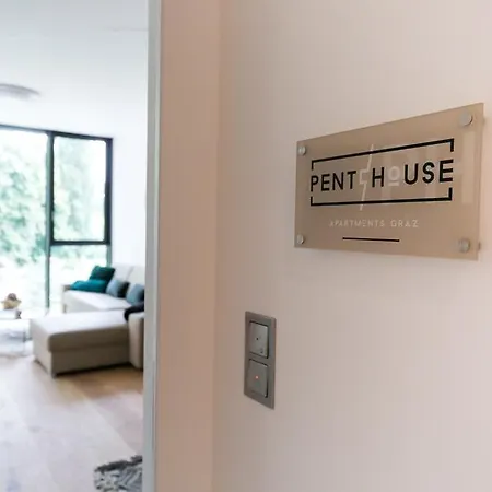 公寓 格拉茨公园套房公寓 *